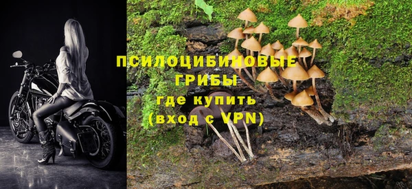 амфетамин Болотное
