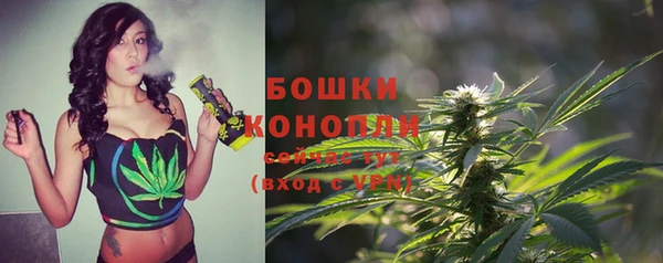 ПСИЛОЦИБИНОВЫЕ ГРИБЫ Теберда
